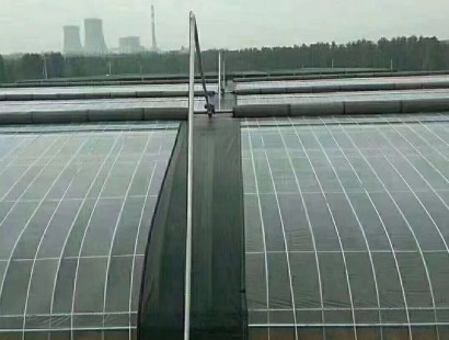 紋絡溫室