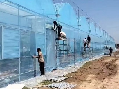 連棟溫室