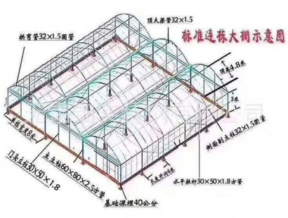 溫室效果圖