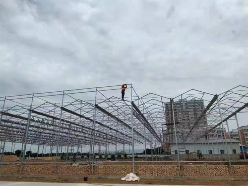 智能溫室
